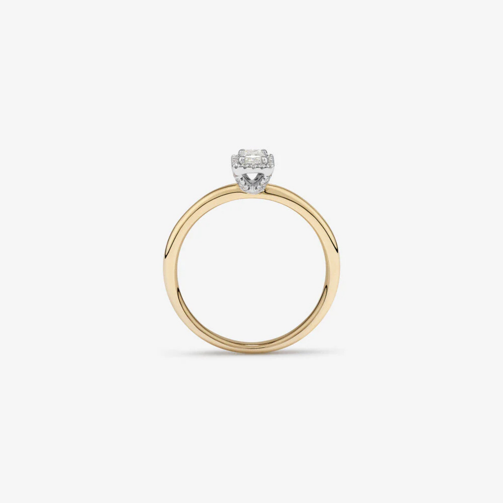 0.31 Carat TW Emerald Cut Diamond Halo Engagement Ring in 14kt Yellow and White Gold