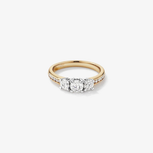 1.00 Carat TW Three Stone Round Brilliant Diamond Engagement Ring in 14kt Yellow and White Gold